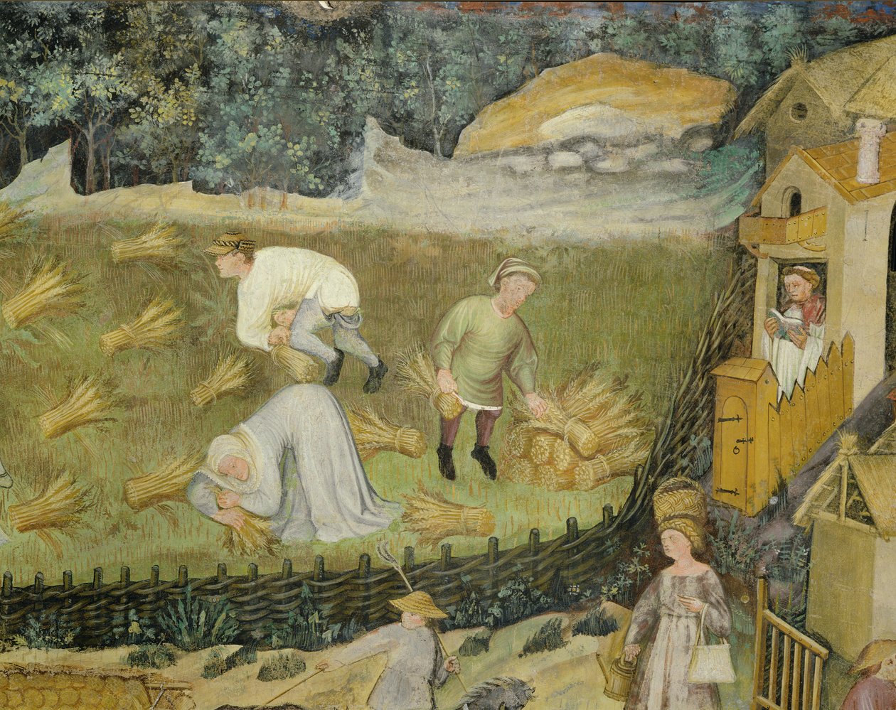 Colheita de feixes de cereais (fresco) de Italian School