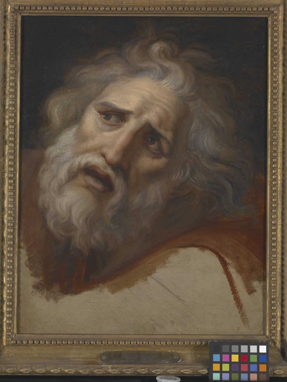 Cabeça de Laocoon (óleo sobre tela) de Italian School