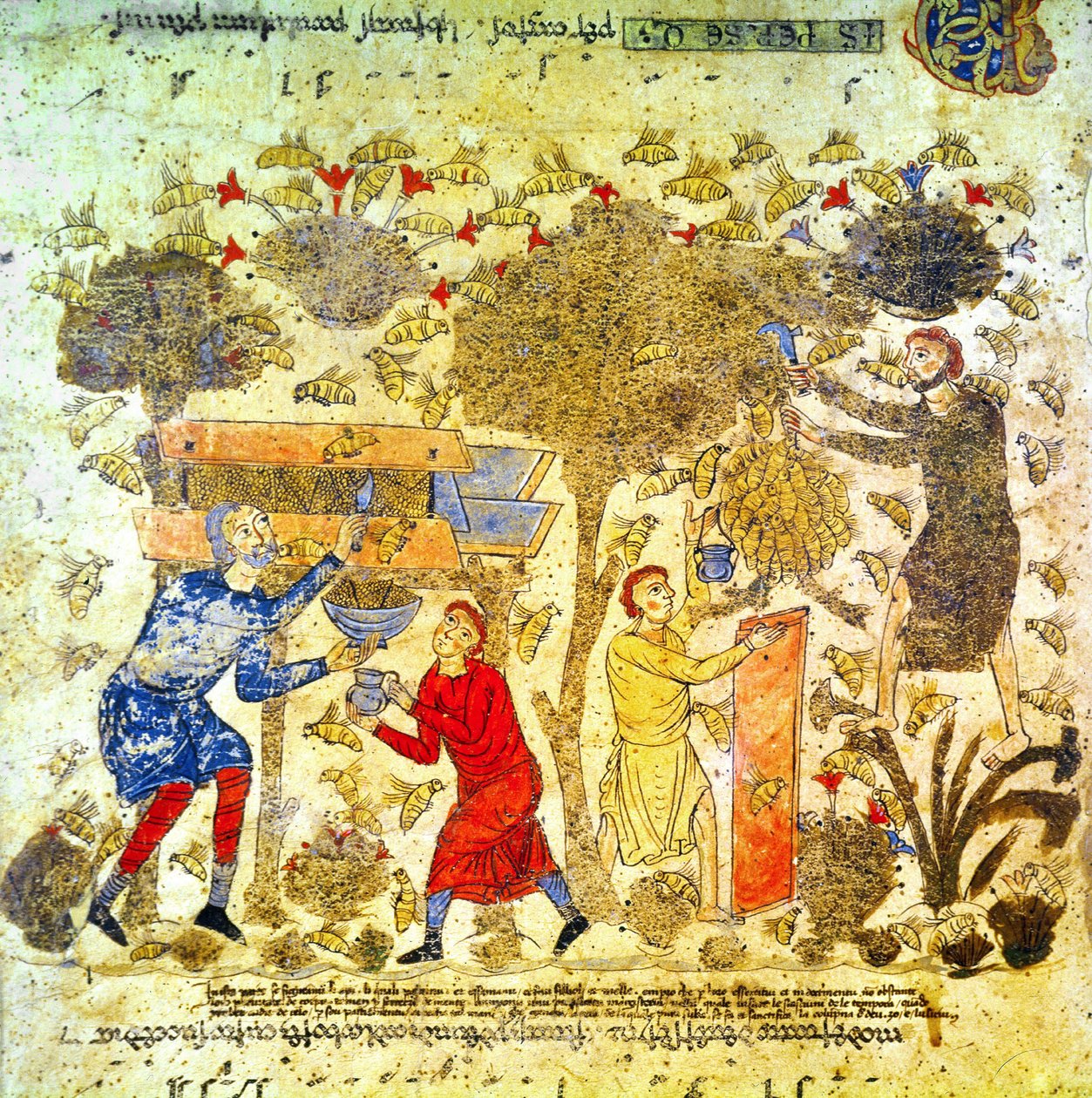 A colheita do mel em Itália no século XII de Italian School