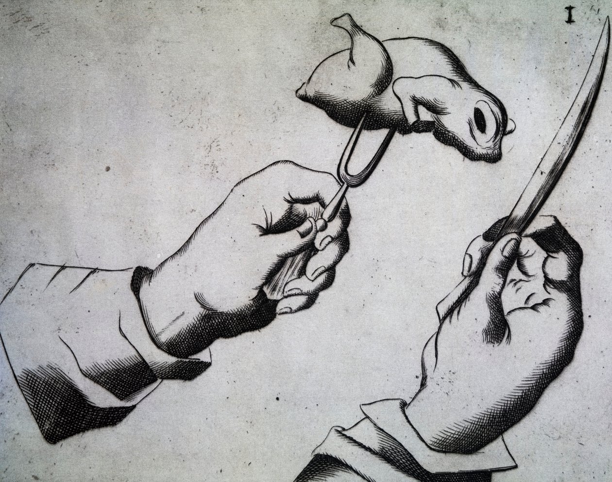 How to chop bird, Ilustration from Li tre trattati di messer Mattia Giegher bavaro di Mosburc, Trinciante dell