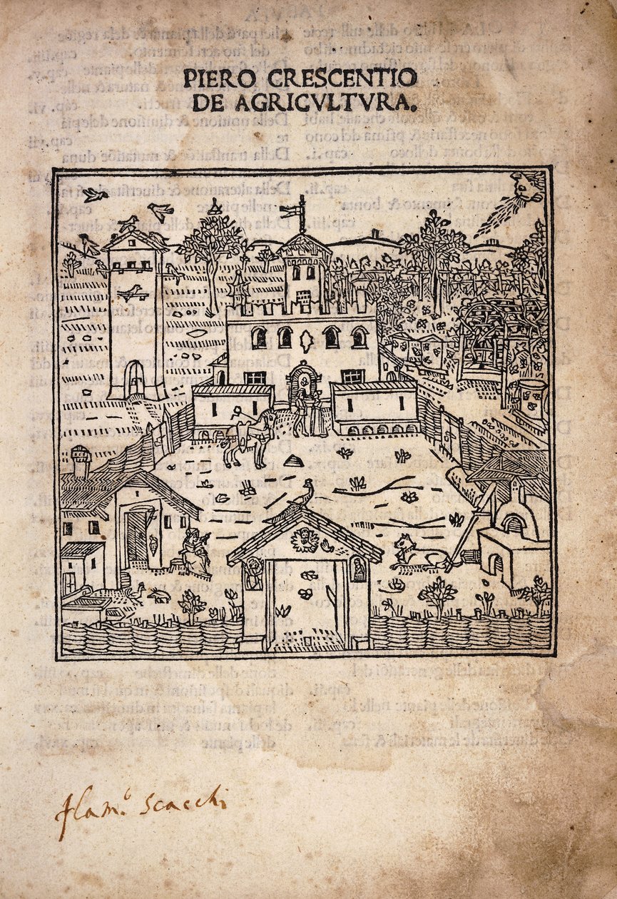 Página de título ilustrada de 