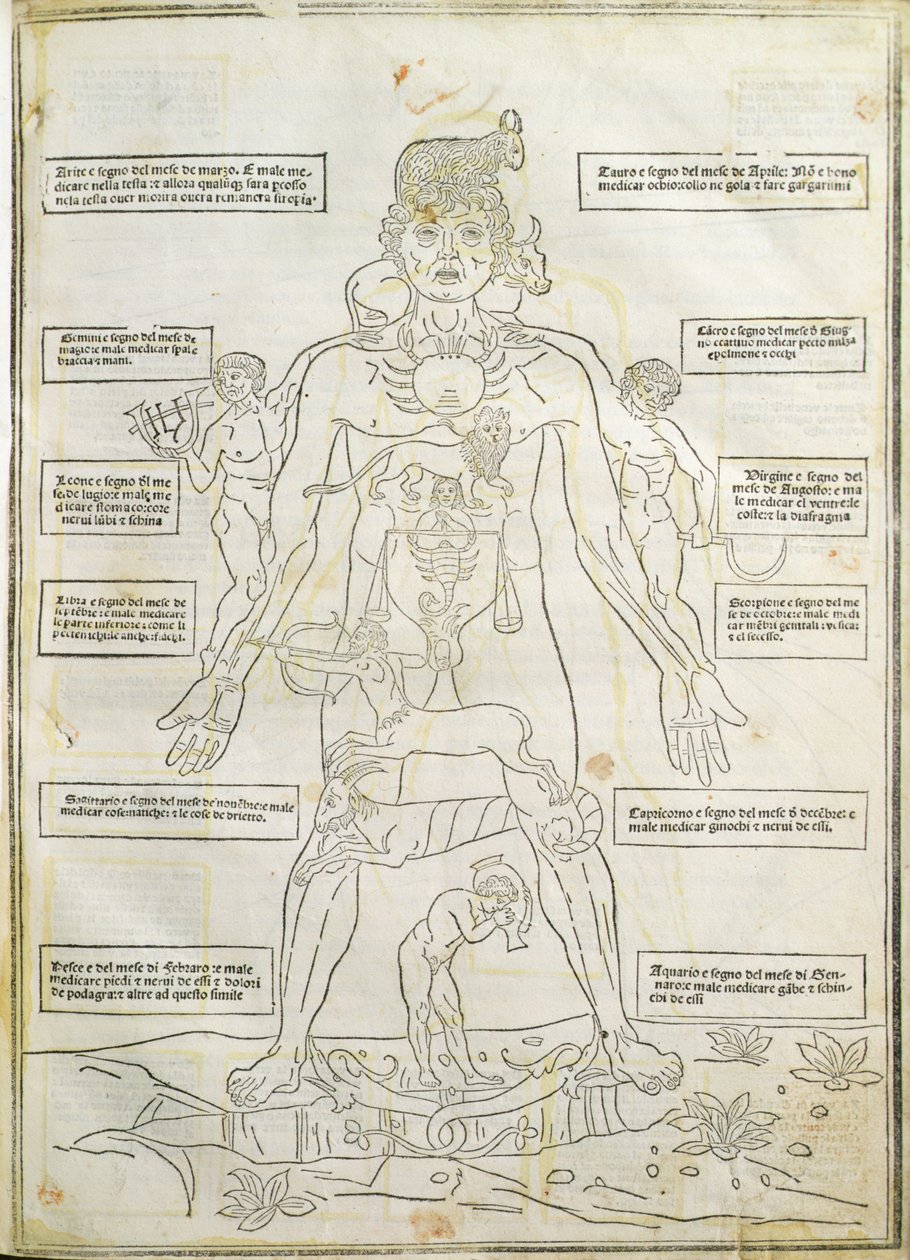 Ilustração de 