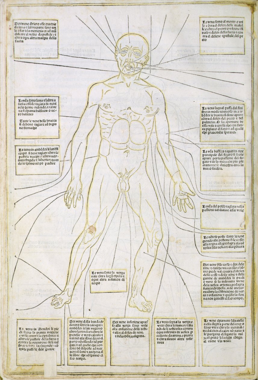 Ilustração de 