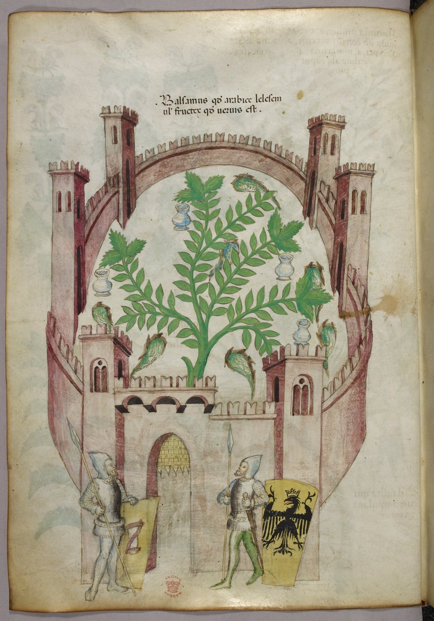 Ilustração do jardim de bálsamo do Cairo (Fustat), com sete tanques de água e jarras para apanhar o bálsamo, uma planta no centro, com dois cavaleiros de armadura a ladear o portão, com escudos com armas heráldicas, c.1440 (tinta e cor sobre velino) de Italian School
