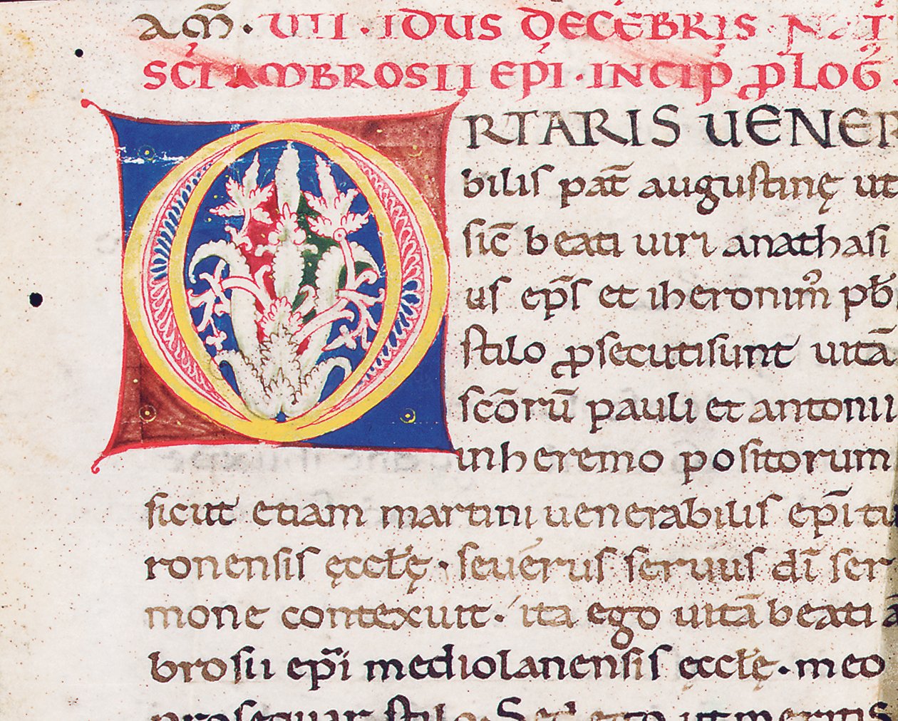 &39;O&39; inicial no verso de um corte com Paulinus de Milão, Vita Sancti Ambrosii, provavelmente da Toscana, c.1150-75 (tinta sobre pergaminho) de Italian School