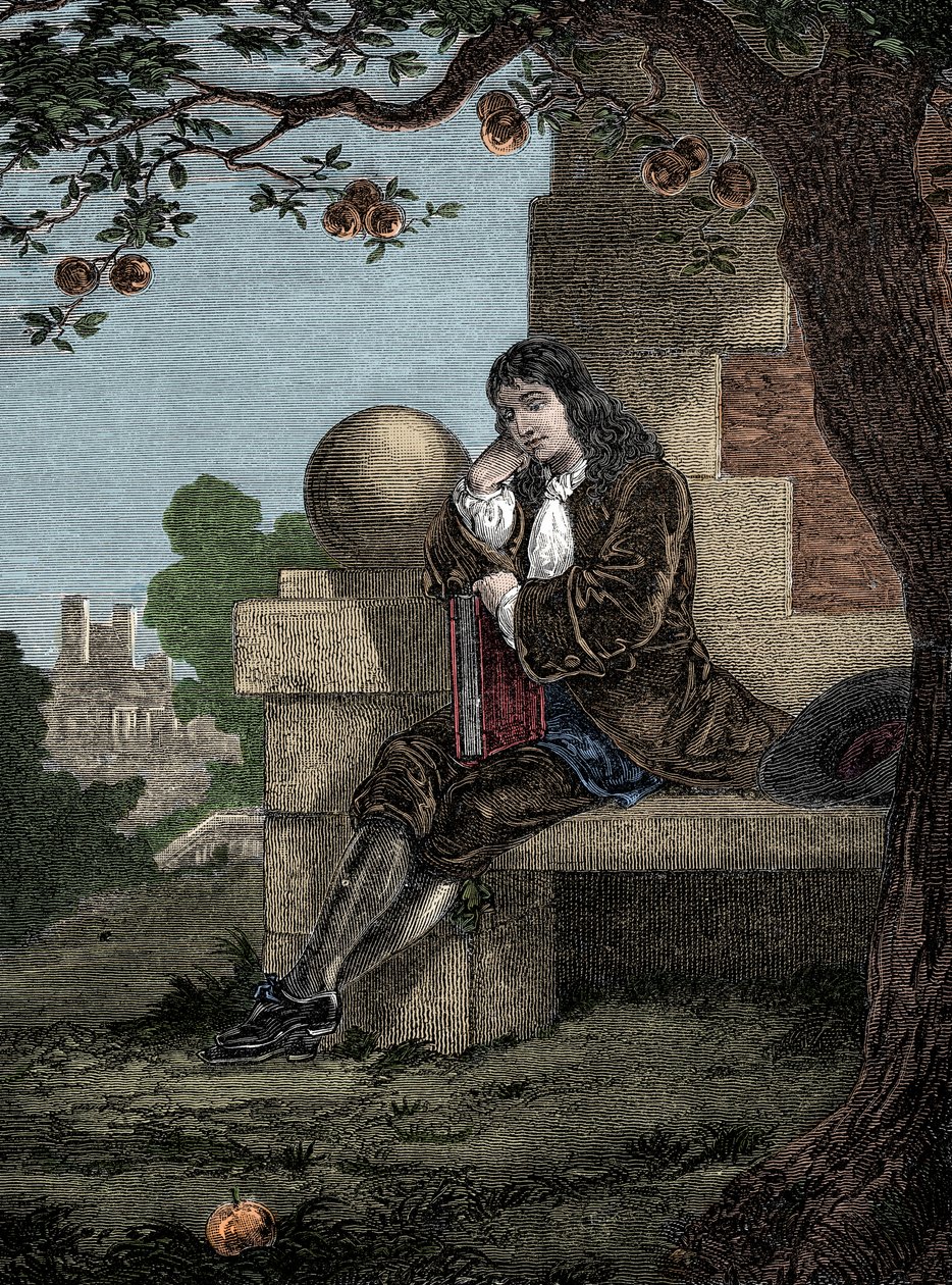 Isaac Newton observando uma maçã cair no chão enquanto estava sentado embaixo de uma árvore de Italian School