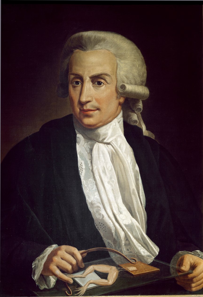 Luigi Galvani com amostra de rã de Italian School