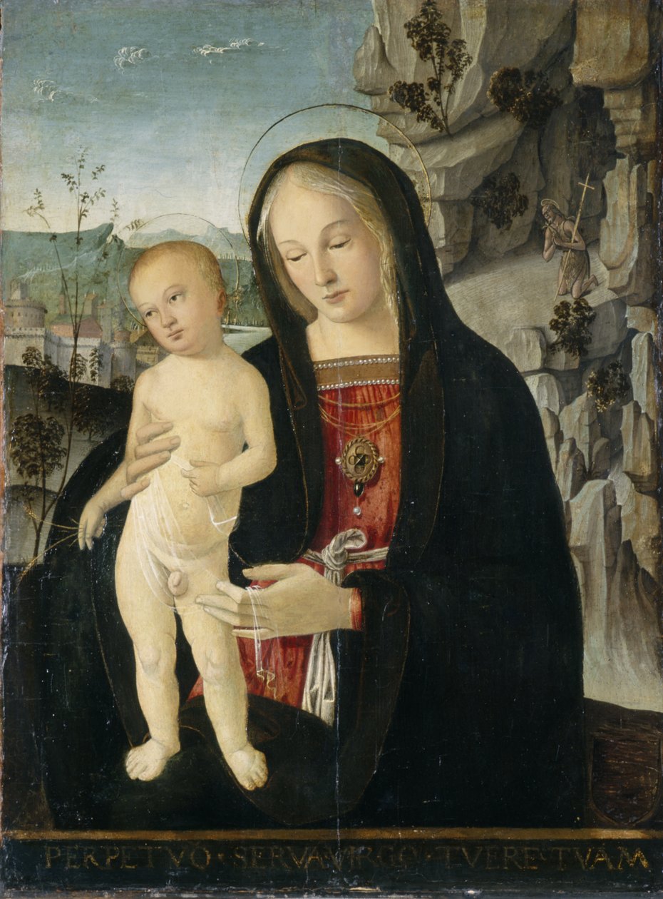 Madonna and Child, c.1500 (têmpera sobre madeira de choupo) de Italian School
