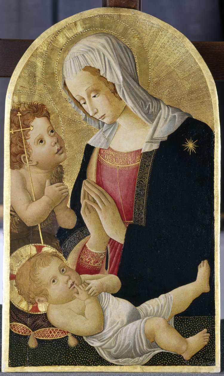 Madonna e Criança com João Batista, c.1460 (tempera em madeira de álamo) de Italian School