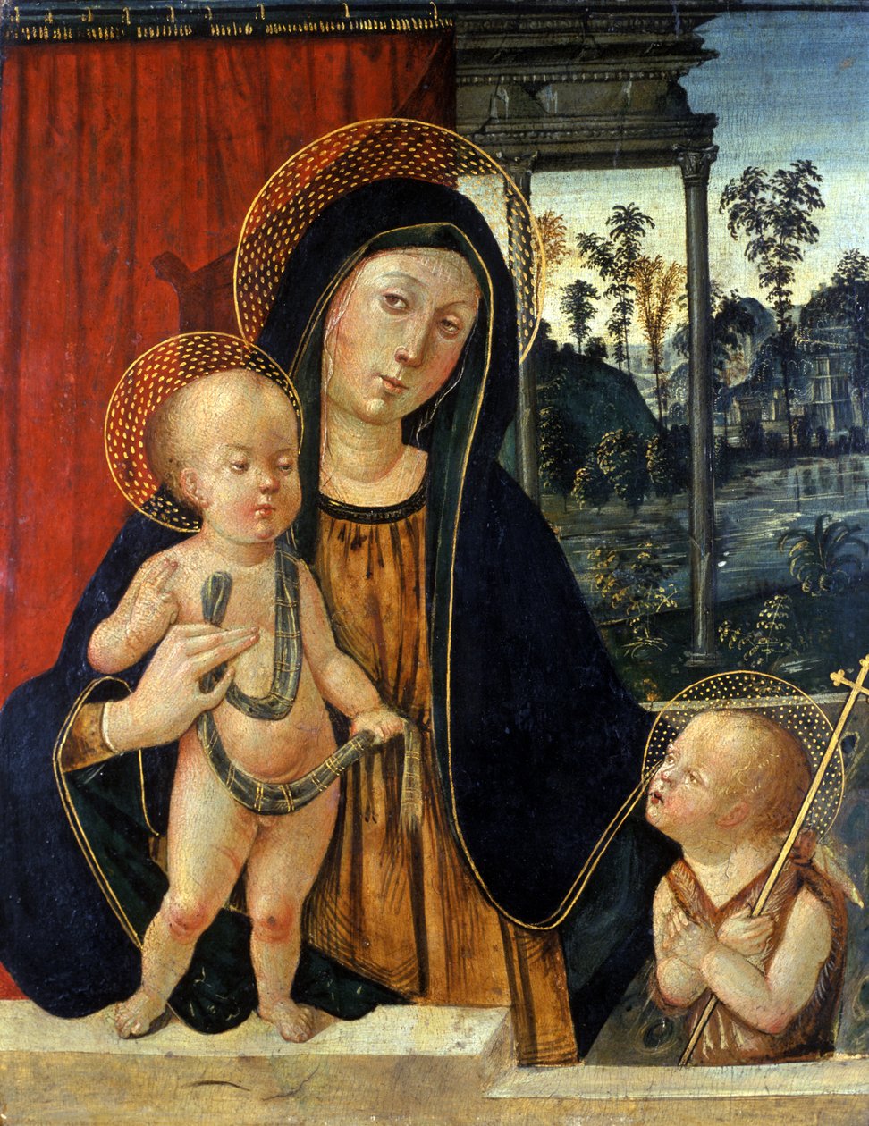Madonna e Child com um jovem John the Baptist, c.1500 (tempera em madeira de choupo) de Italian School