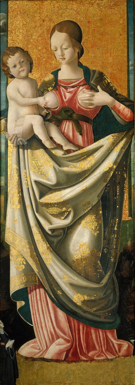 Madonna del Suffragio, c.1520 (têmpera sobre painel de madeira) de Italian School