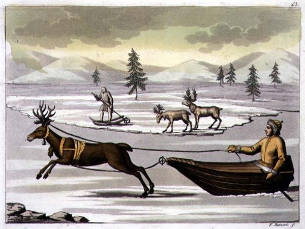 Renas Macho e Fêmea e um Laplander no seu martelo puxado por uma rena, prato 43 de "A História das Nações" (aquatint) de Italian School