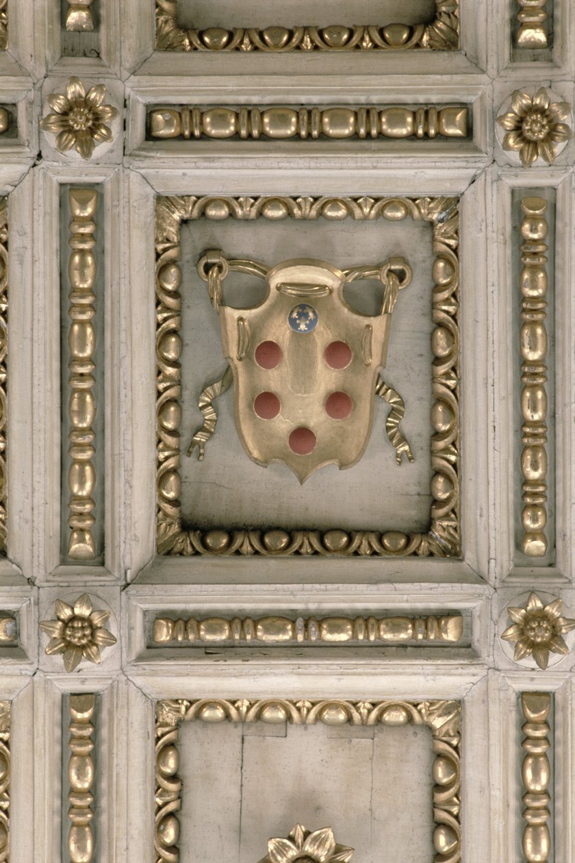 Brasão dos Médici, do intradorso da igreja (estuque) de Italian School