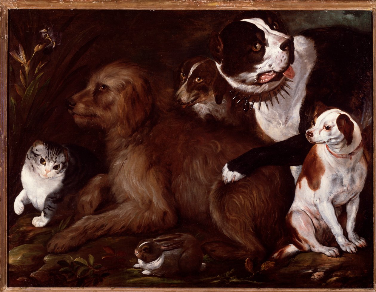 Cães Medici, com um gato e um coelho da escola italiana de Italian School