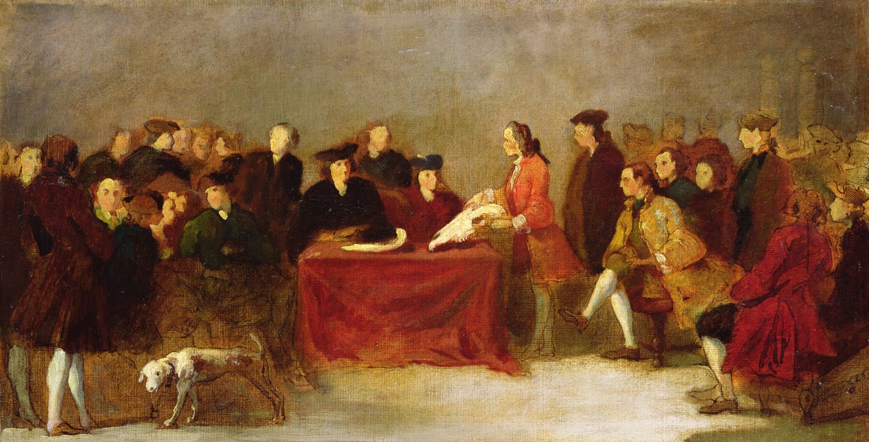 Encontro da Academia ou, Exame de História Natural em Veneza de Italian School