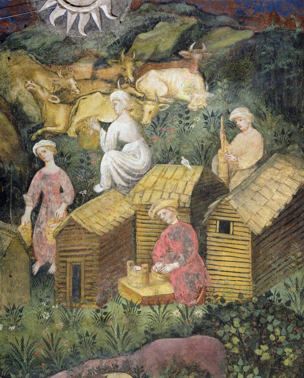 Pastagens de montanha. Ordenhar as vacas e fazer queijo (fresco) de Italian School