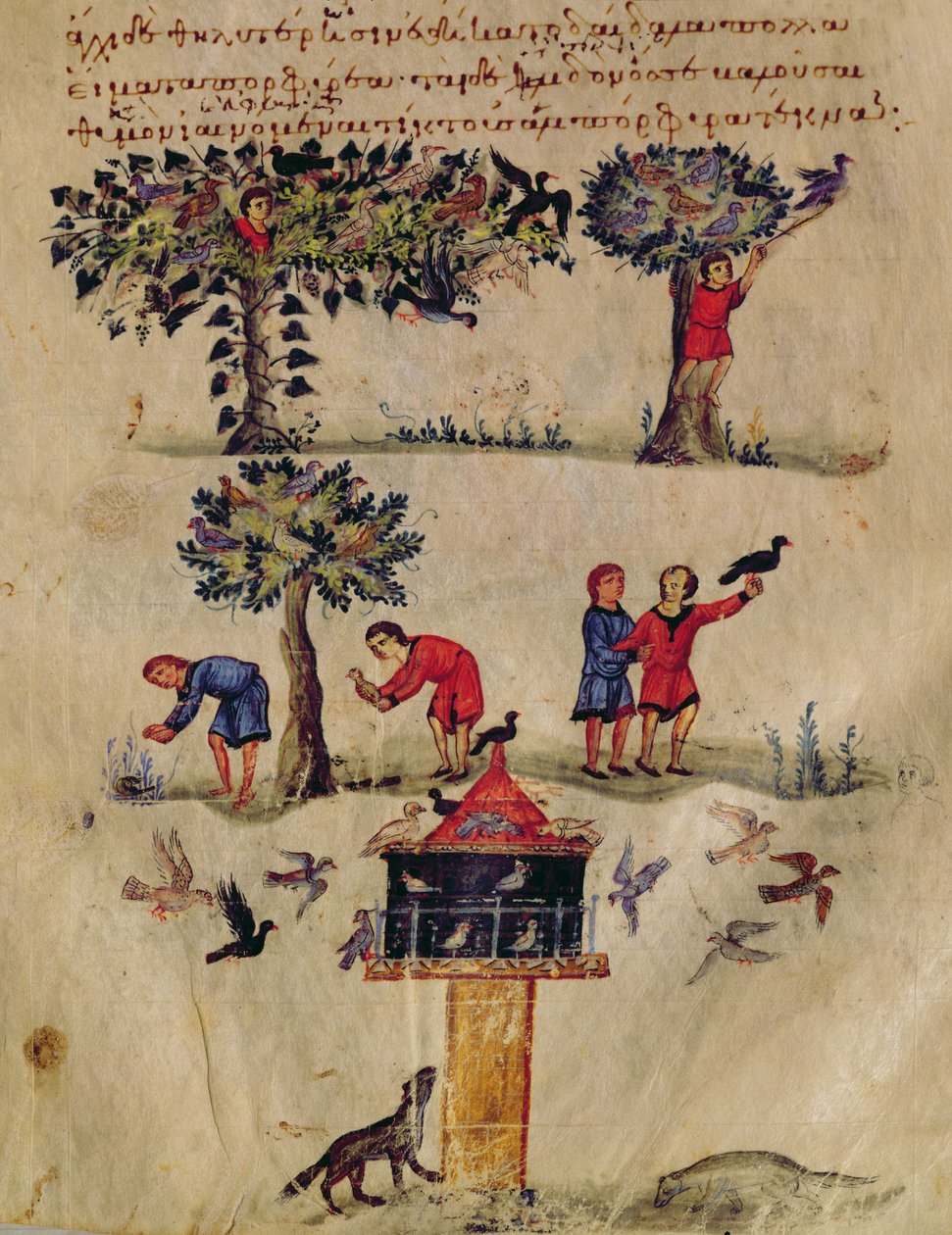 Ms Grec 479 Caça para Aves, ilustração provavelmente do Ixeutika por Oppian (tempera em pergaminho) de Italian School