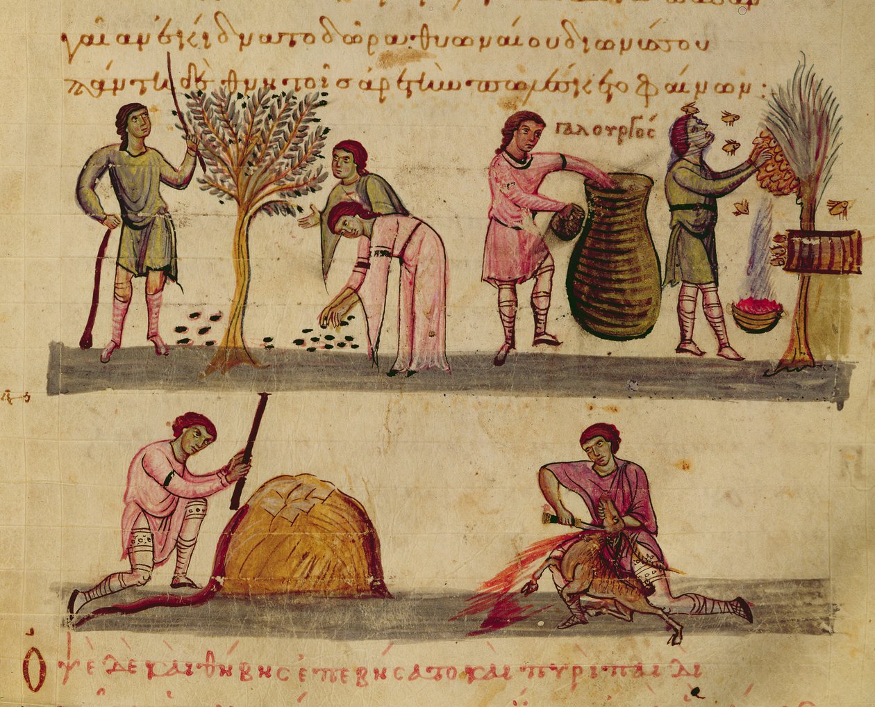 Sra. Grec 479 Trabalhando nos campos, ilustração do Cynegetica por Oppian (tempera em velino) de Italian School