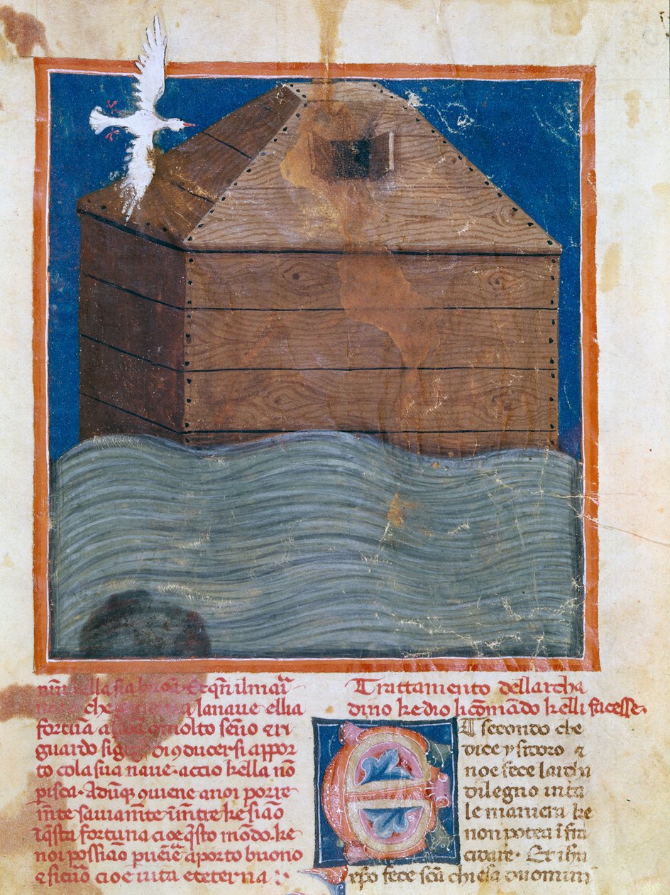 Senhorita II.VI.16, 83a, Arca de Noé de Italian School
