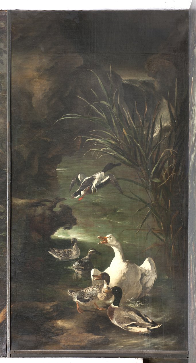 Mito de Orfeu: cisne e patos, c.1650-60 de Italian School