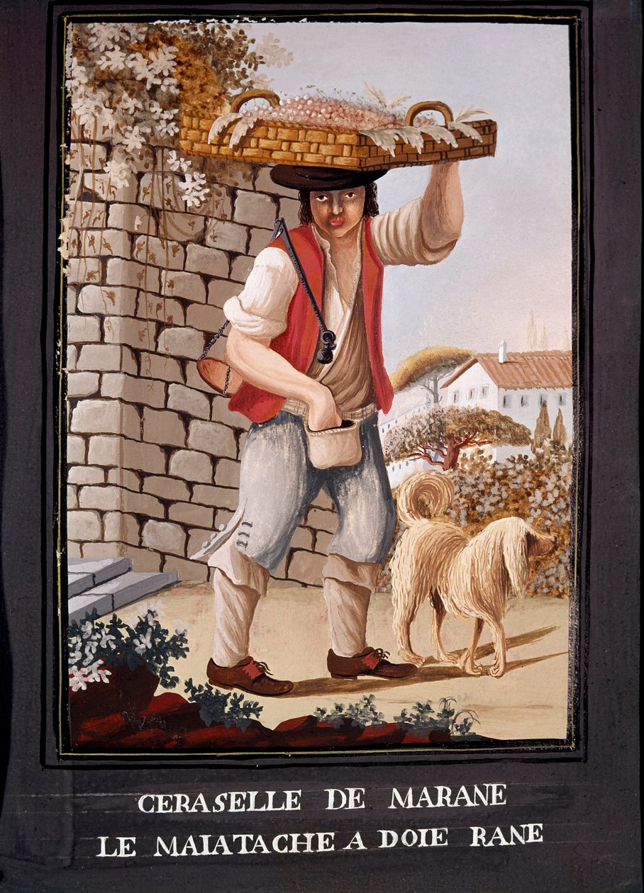 Metiers napolitanos: o vendedor de cerejas da Marasca - (comércio antigo: o vendedor de cerejas da Marasca) Aguarela do século XIX - Nápoles Museo Nazionale di San Martino de Italian School