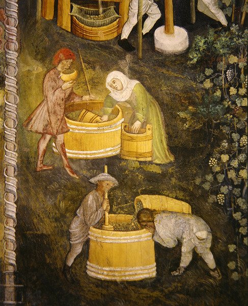 Vinho novo (fresco) de Italian School