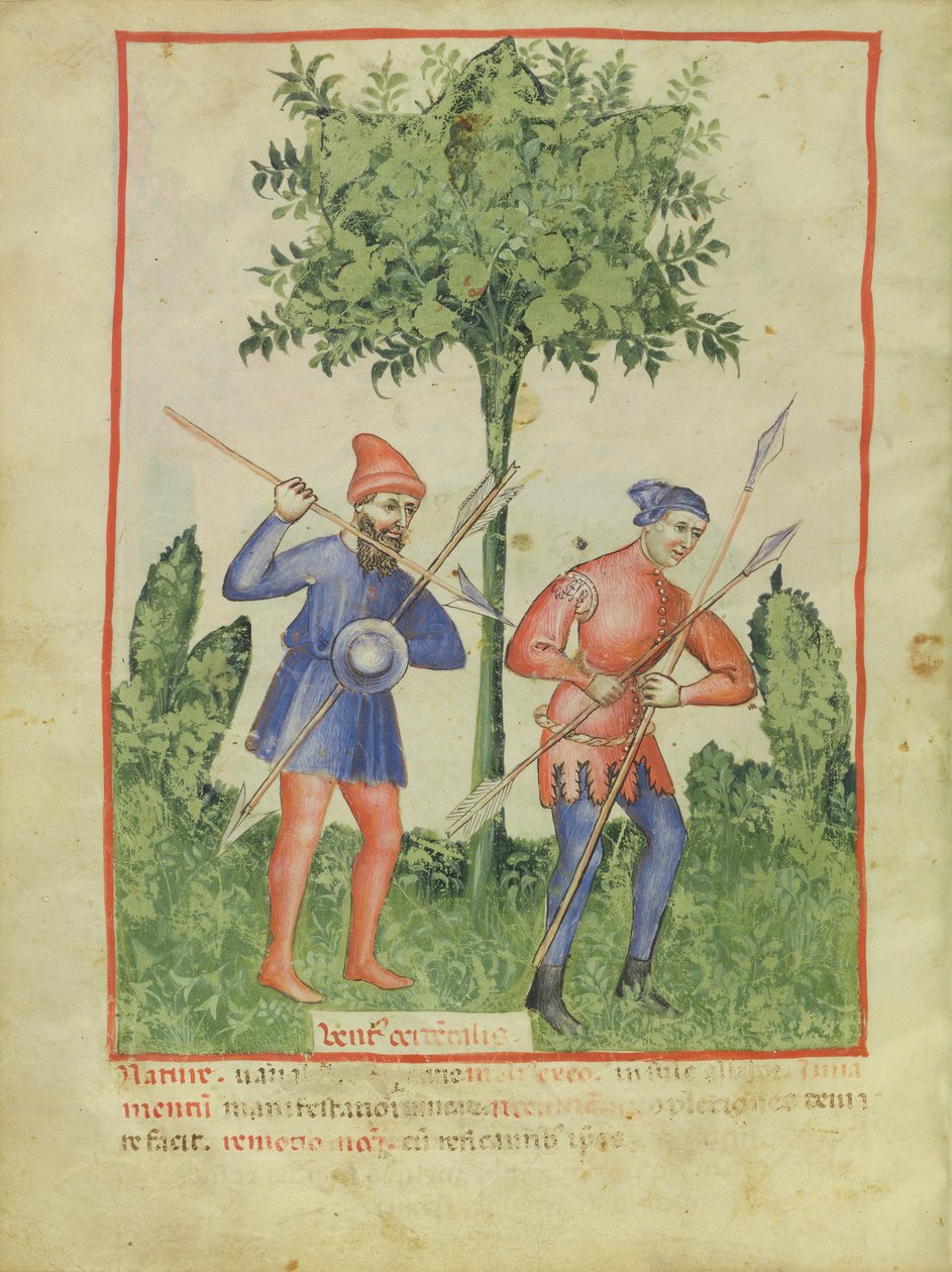 Nouy Acq Lat 1673 fol.100v o vento oeste, de Tacuinum saudável, c.1390-1400 de Italian School