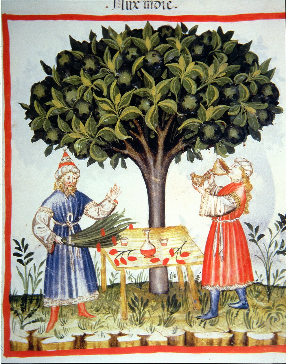 Reunindo fol.14r fresco 2644 Noz-moscada, de Tacuinum saudável de Italian School