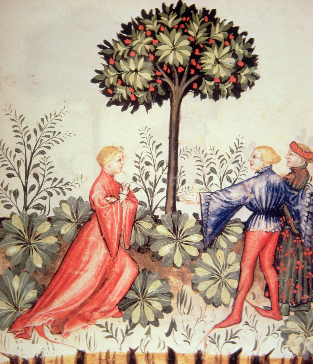 Nova 2644 fol.24r de colheita de mostarda, de Tacuinum saudável de Italian School