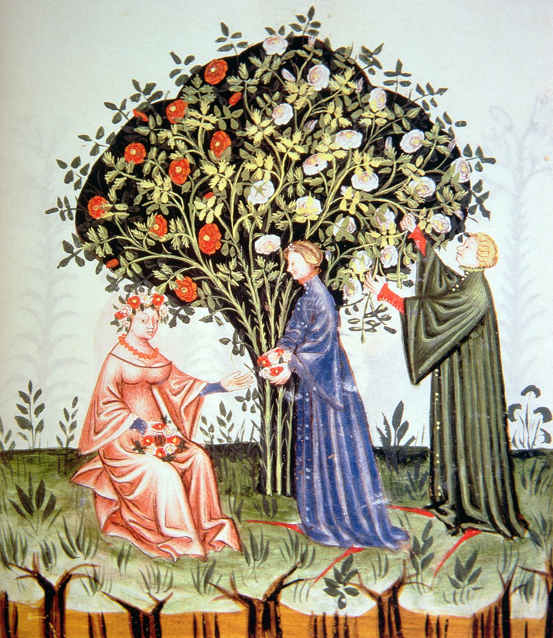 Nova 2644 fol.38r Recolhendo Rosas, ilustração de Tacuinum Santiatis Codex Vindobonensis de Italian School