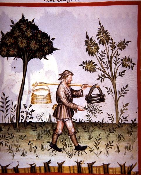 Nova 2644 fol.61v Leite coalhado, de 