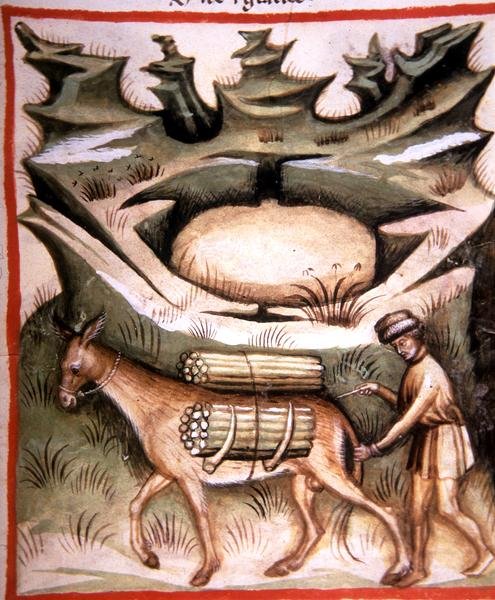 Nova 2644 fol.90r Neve e Gelo, de 
