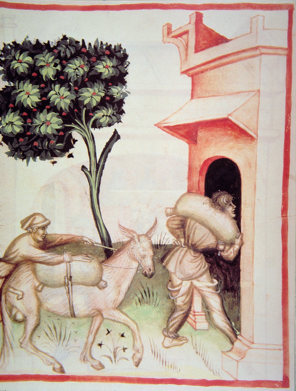 Nova 2644 fol.91v Azeite: transporte das azeitonas, de Tacuinum Sanitatis de Italian School