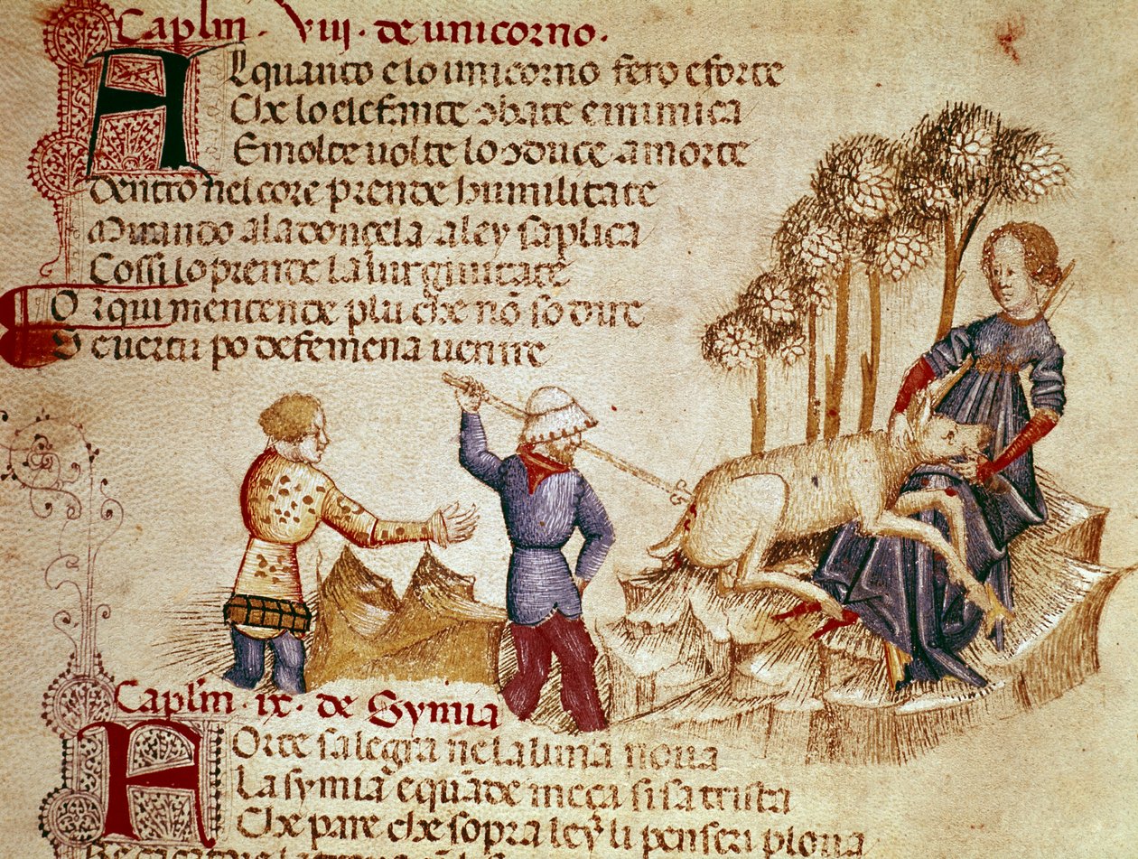 Ó quão orgulhoso e forte é o unicórnio, a quem o elefante luta e antagoniza e muitas vezes leva à morte! Representação do unicórnio. Miniatura de "L