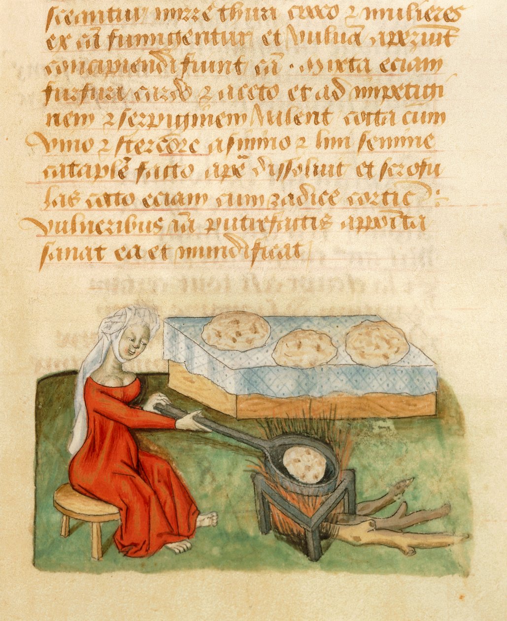Página do Tractatus de Herbis por Dioscorides Pedanius de Italian School