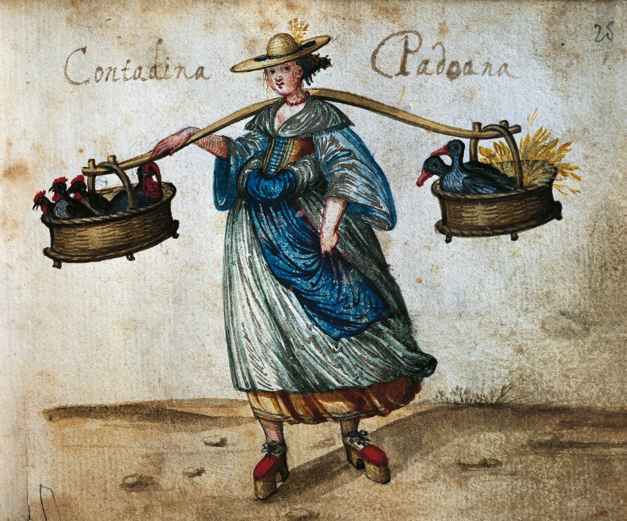Camponesa com animais do pátio em cestas, Camponesa fêmea de Pádua, ilustração a cores do século XVI de Italian School