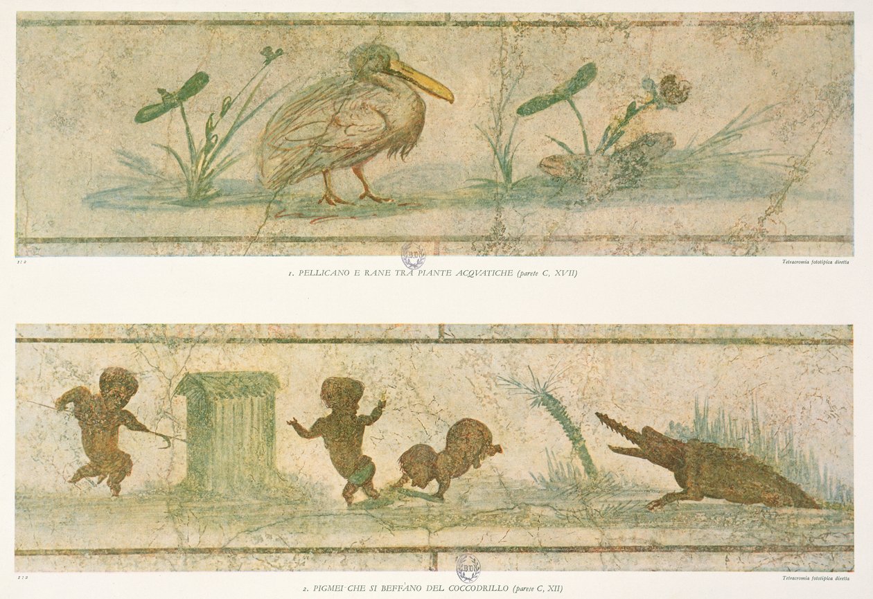 Pelicanos, plantas aquáticas e pigmeus fugindo diante de um crocodilo, depois dos afrescos originais, de Images du Colombaire de la Villa Pamphilj por G. Bendinelli, 1941 de Italian School