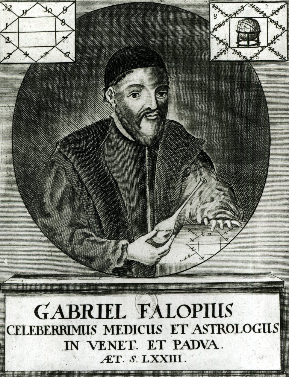 Retrato de Gabriel Fallopius (1523-62) de Italian School