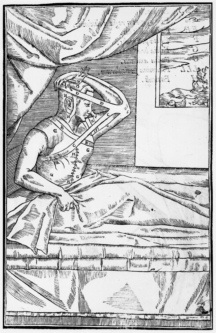 Cirurgia reconstrutiva no nariz, ilustração de De curtorum chirurgia per insitionem por Gaspare Tagliacozzi (1545-99) Veneza, publicado em 1597 de Italian School