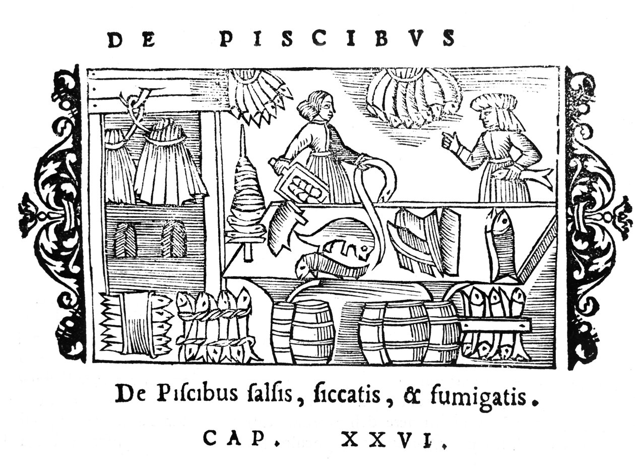 Salga, secagem e fumar peixe, ilustração de Historia de Gentibus Septentrionalibus por Olaus Magnus (1490-1558), publicado em Roma, 1555 de Italian School