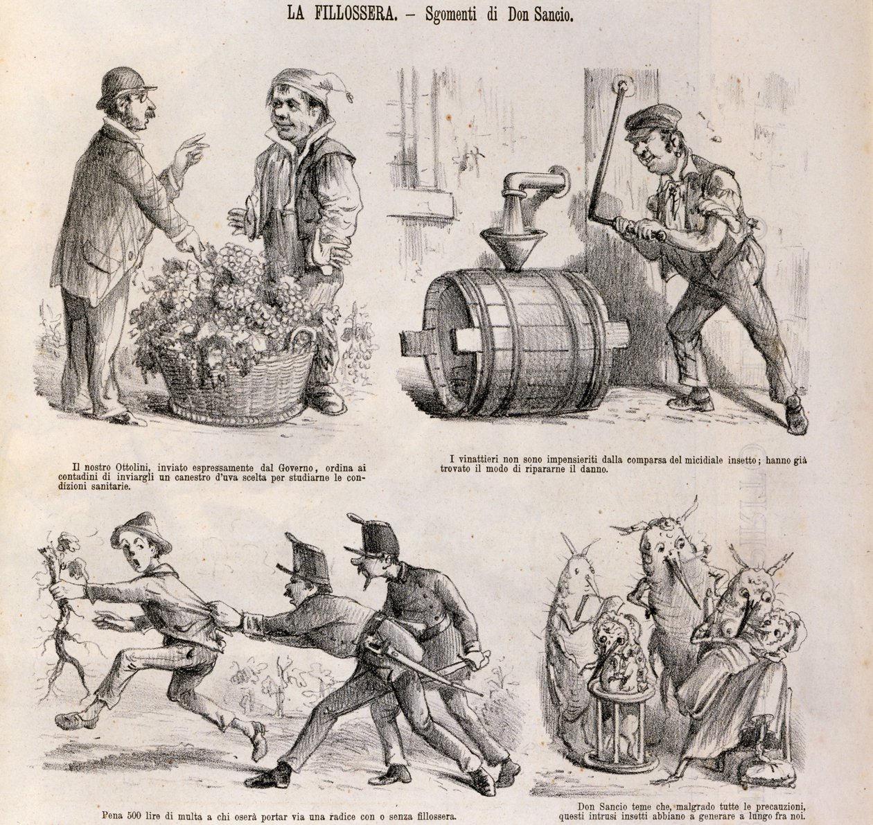 Desenho animado satírico dedicado à crise vitivinícola provocada pela filoxera, ilustração do jornal satírico Spirito Folletto, 18 de setembro de Italian School