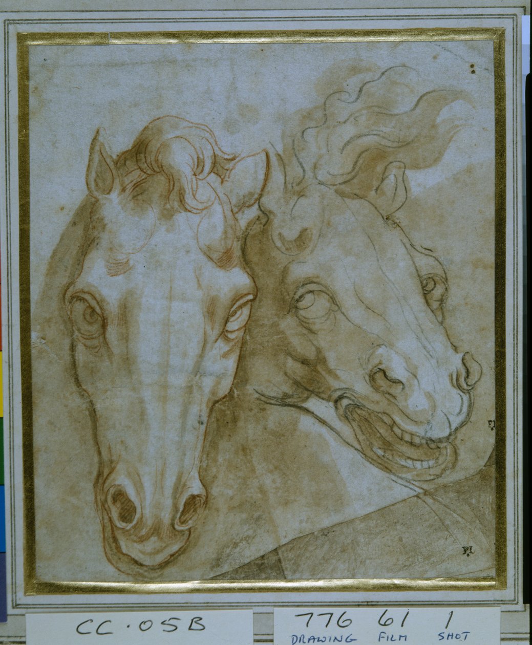 Estudos para as cabeças de dois cavalos (gizes pretos e vermelhos sobre papel) de Italian School