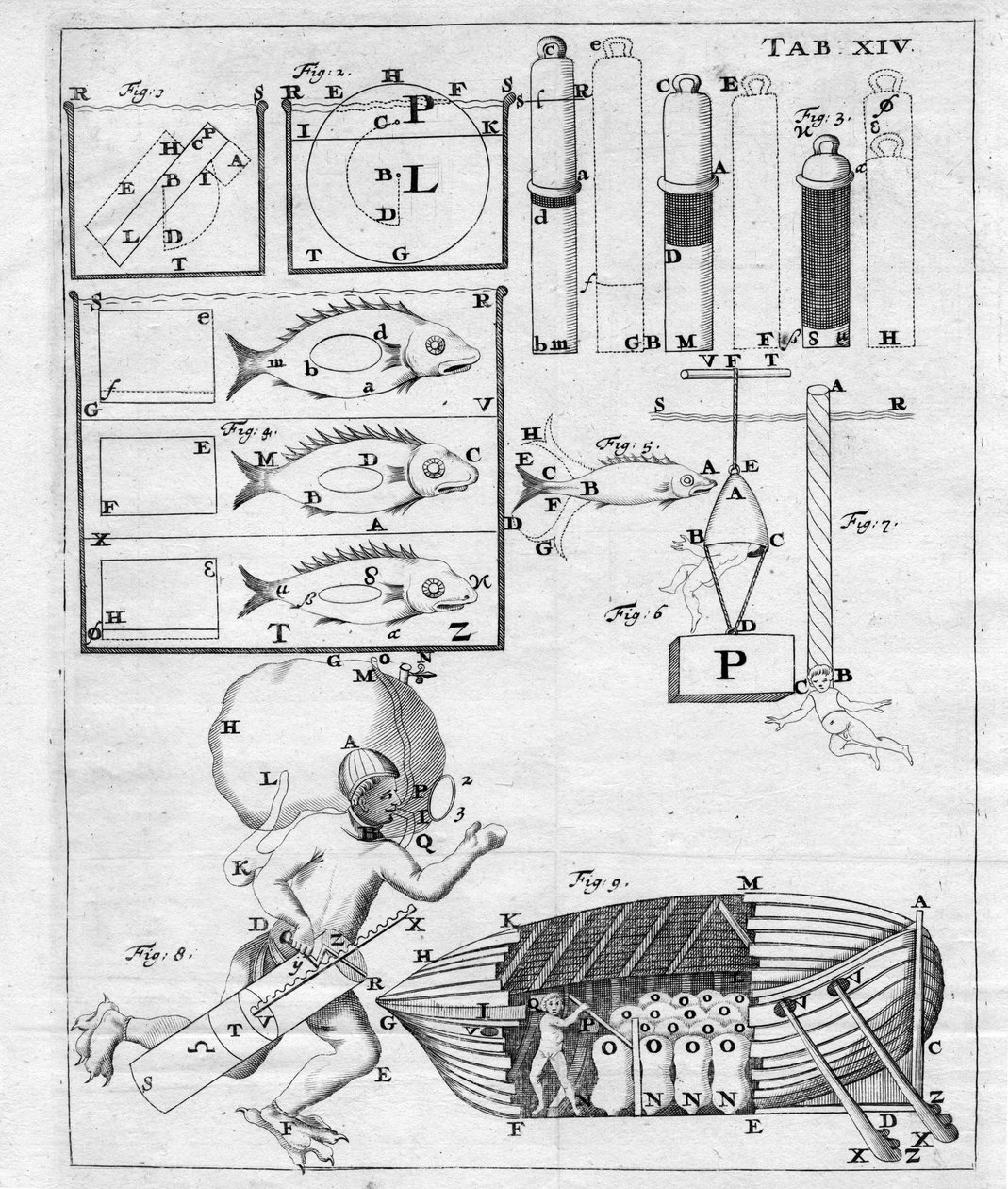 Estudos sobre navegação submarina - in "De Motu Animalium" de Giovanni Alfonso Borelli (1608 - 1679) de Italian School