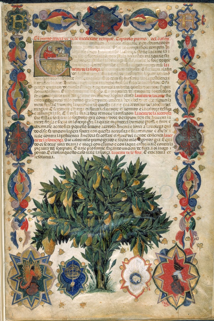 Página de texto com margens ornamentais, ilustração de 