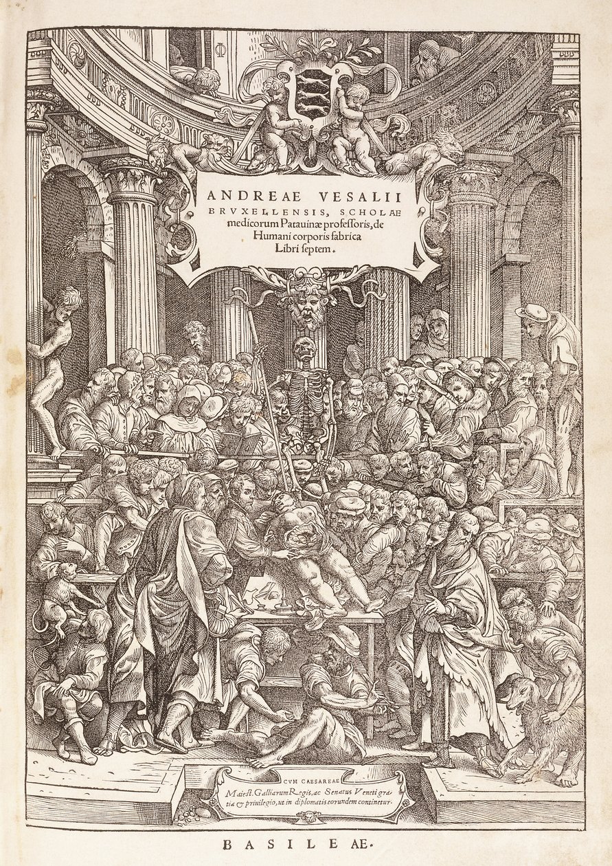 O autor conduzindo uma dissecção anatômica em um teatro cirúrgico, 1543 de Italian School