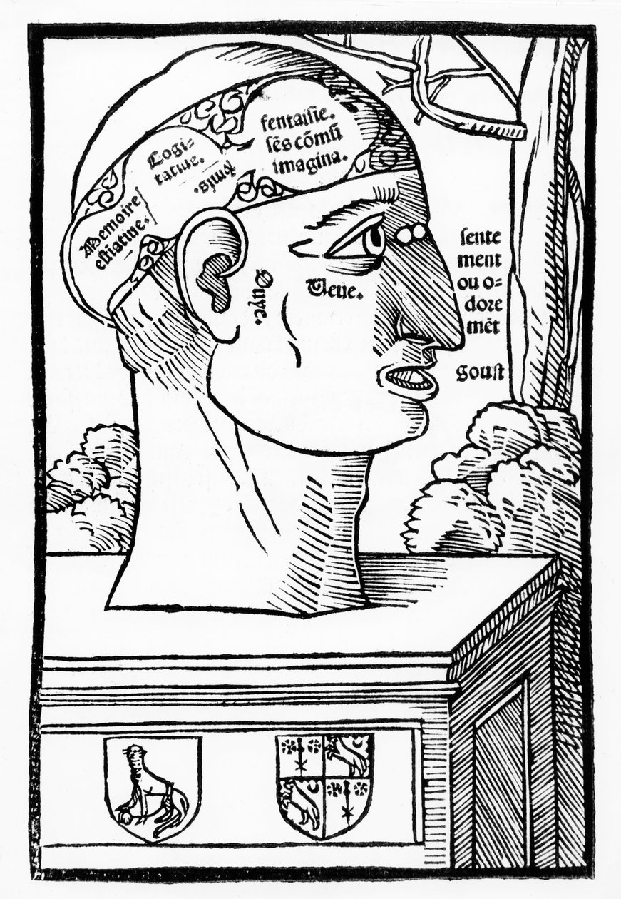 The Brain and Human Faculties, de Anatomia Mundini, edição francesa, publicado em 1537 de Italian School