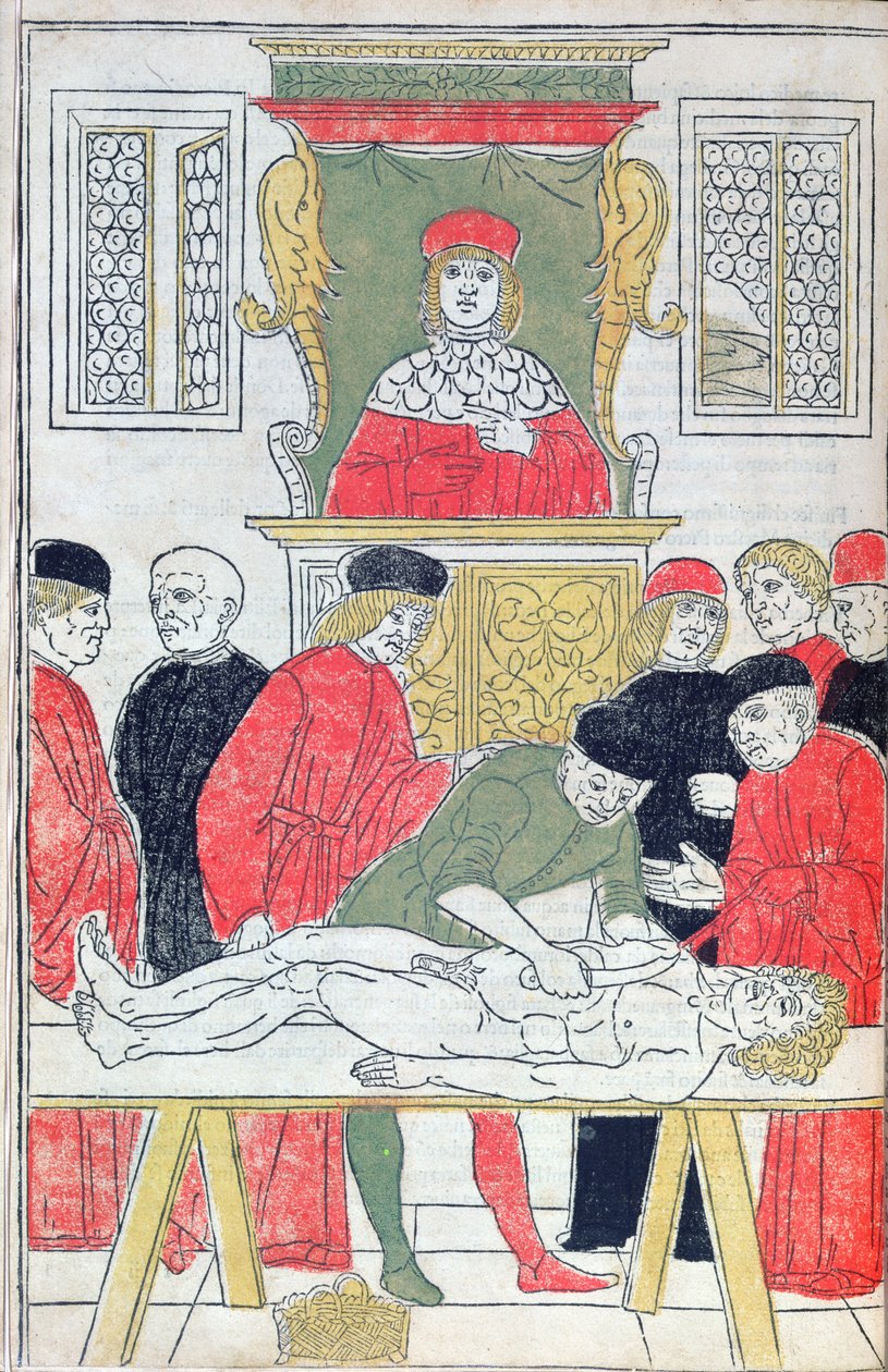 A Dissecção, ilustração de 