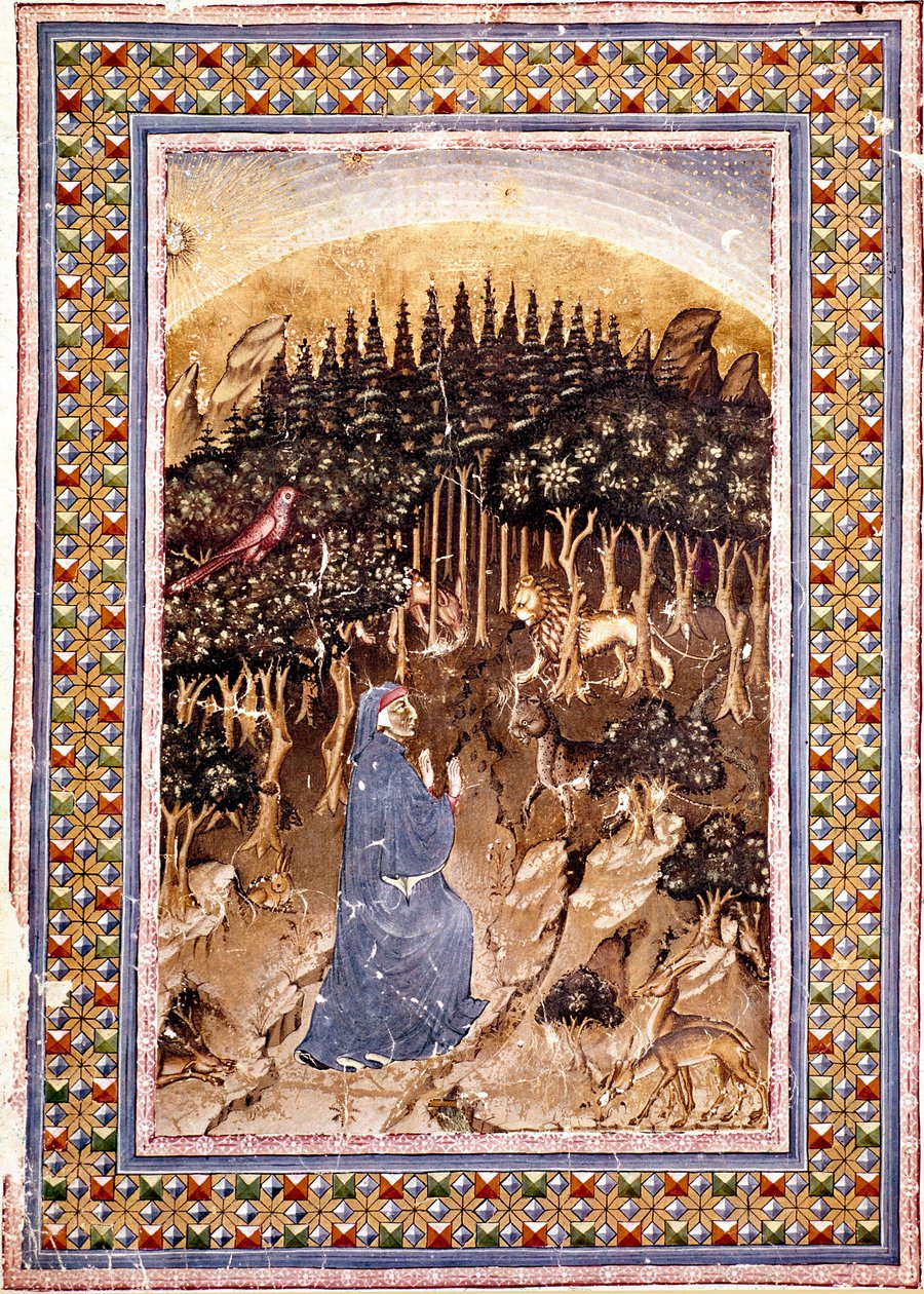 O poeta Dante se encontra numa floresta escura. Página iluminada