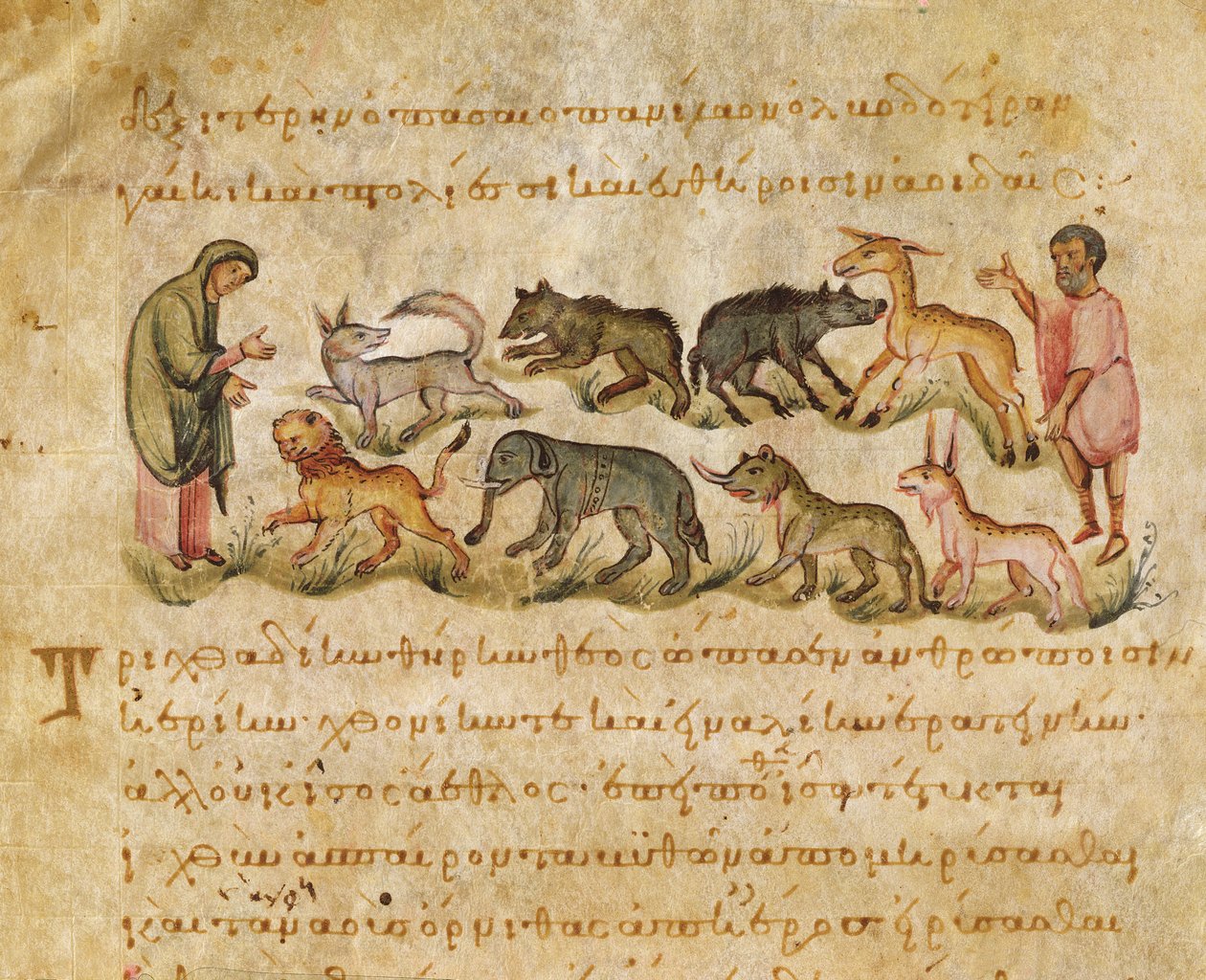 Tratado sobre as muitas espécies de animais que habitam a terra, ilustração do Cynegetica por Oppian (tempera em velino) de Italian School