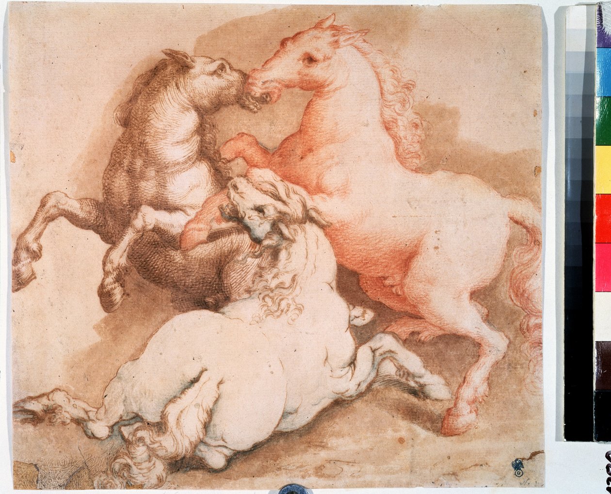 "Caneta e desenho a tinta da escola italiana. 1550-1600 Museu Pushkin, Moscovo de Italian School